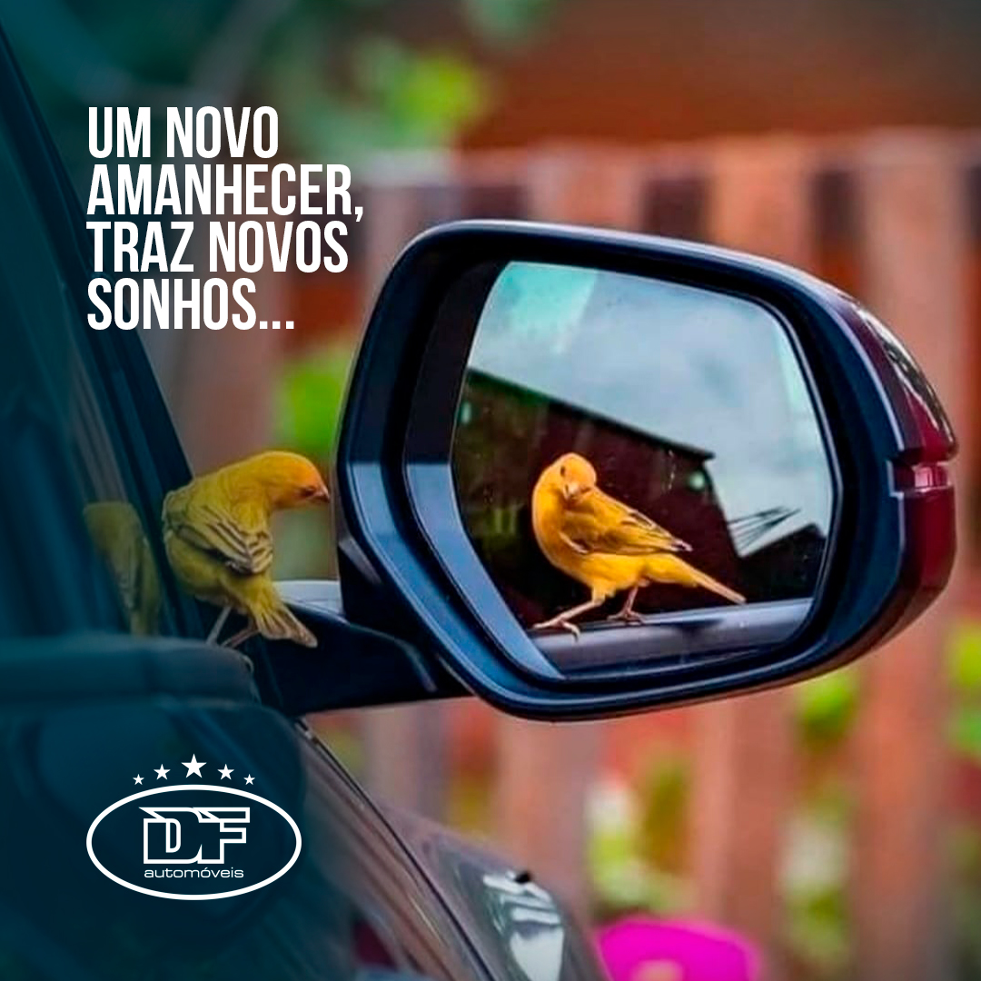 DF Automóveis — Um novo amanhecer